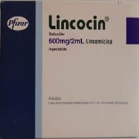 Lincocin 600mg 2ml Sol INJECTION, Lincomycin